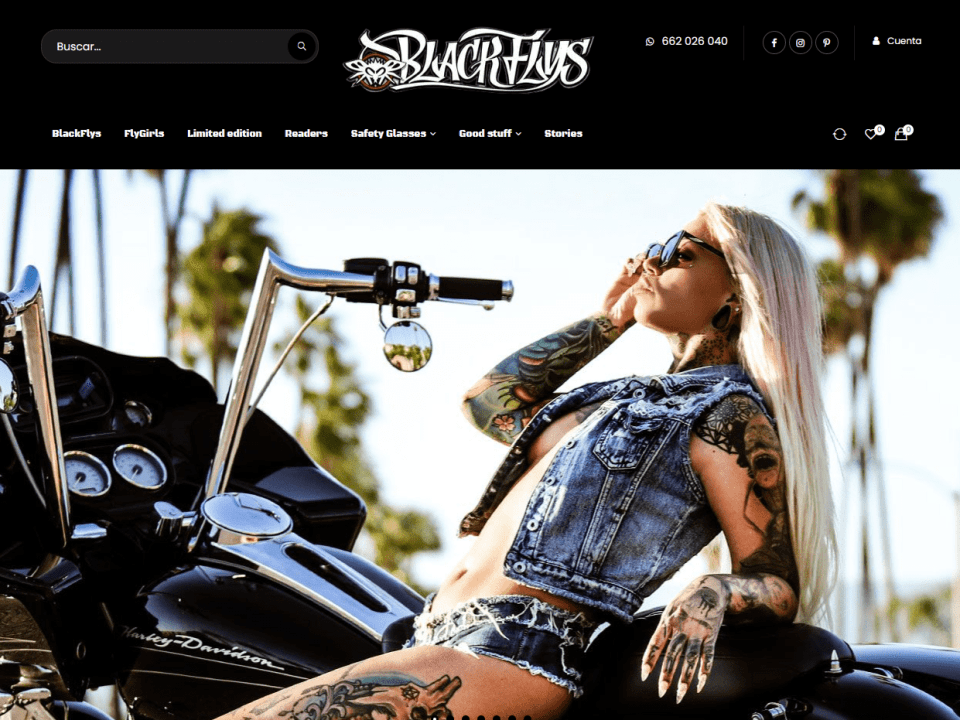 Diseño web Blackflys
