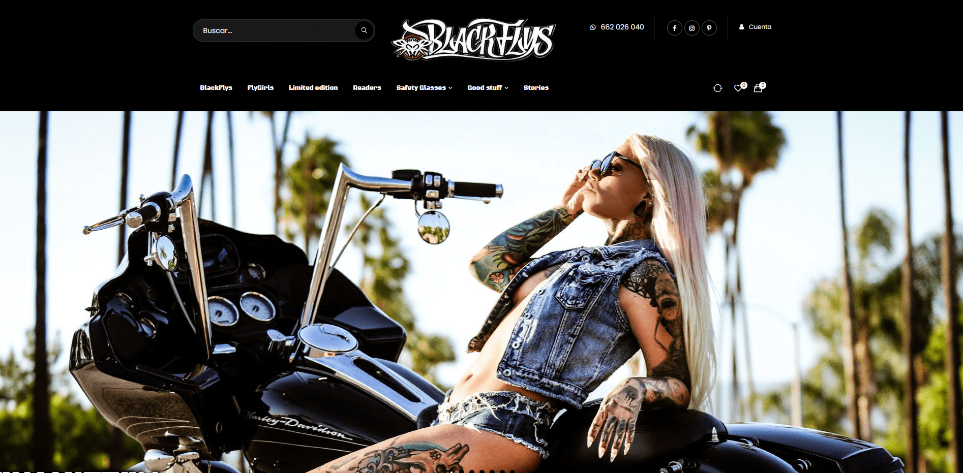 blackflys | somos tu marketing diseño web blackflys