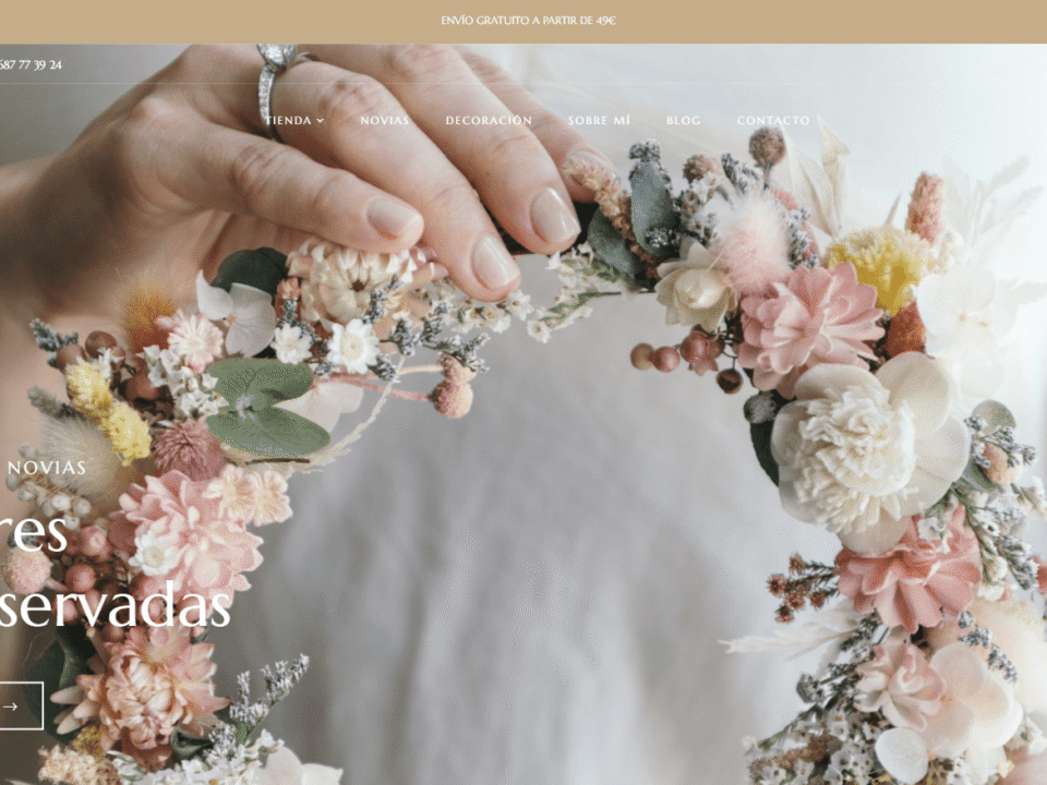 DISEÑO WEB EN TOLEDO